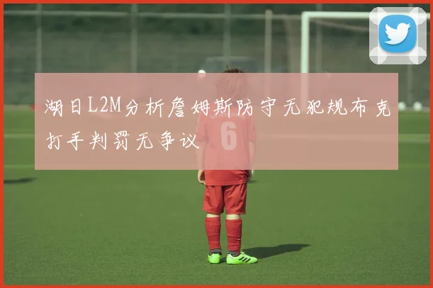 湖日L2M分析詹姆斯防守无犯规布克打手判罚无争议