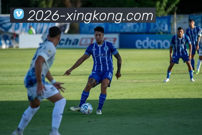 星空体育平台生态图