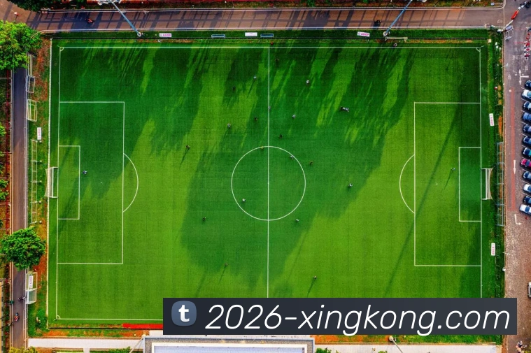 星空体育APP 封面图