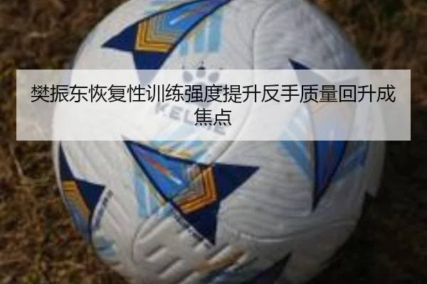 樊振东恢复性训练强度提升反手质量回升成焦点（xingkong）